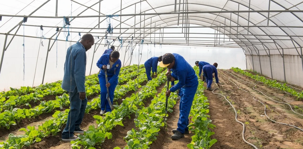 Best universities for agriculture in South Africa: