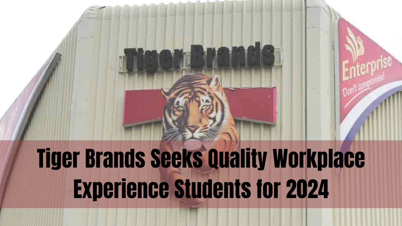 Tiger Brands' Life-Changing Internships in 2024