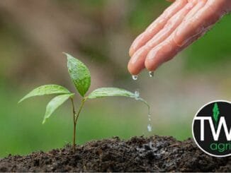 TWK Agri Job Vacancy as Admin Clerk