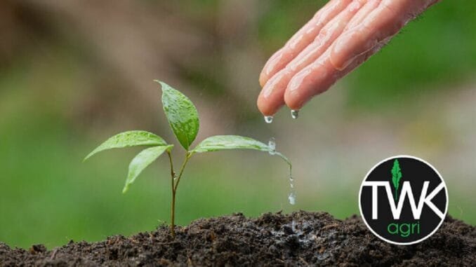 TWK Agri Job Vacancy as Admin Clerk TWK Agri Job Vacancy as Admin Clerk
