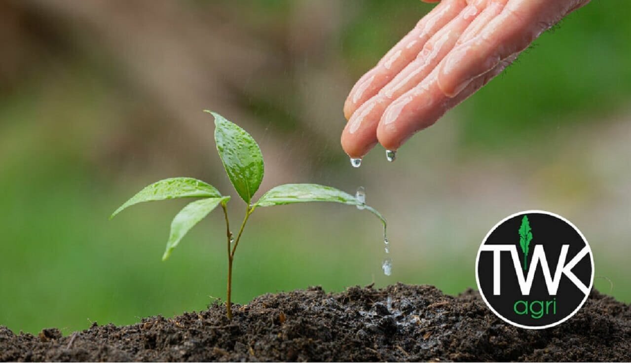 TWK Agri Job Vacancy as Admin Clerk
