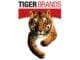 Tiger Brands Workplace Experience Programme 2024