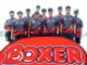BOXER SUPERSTORS IS HIRING 20X PERMANENT GENERAL WORKER