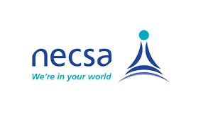 NECSA IS HIRING A CLEANER AND A GARDNER