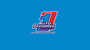 Join Auto Pedigree as a Driver/Cleaner – Apply Now