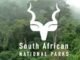 SANParks is Hiring: General Workers (X37) in Kruger National Park!