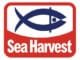 Sea Harvest Job Vacancy as Receptionist 2025