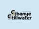 Sibanye-Stillwater Mining Learnerships