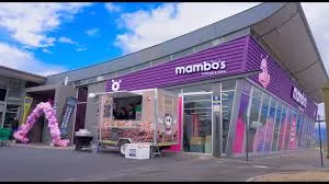 Mambos Storage & Home (Pty) Ltd Shop Assistant