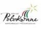 Polokwane Local Municipality: ISDG Graduate Programme 2025