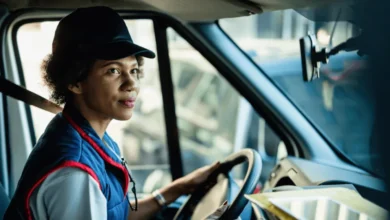 Brights Hardware Driver Code 10 2025