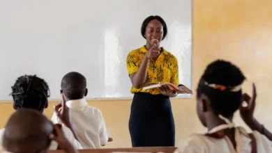 Check Your BEEI Phase V Application Status: Education & General Assistant Roles 2025