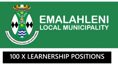 Emalahleni Local Municipality Learnership Programme 2025 (x100 Posts)