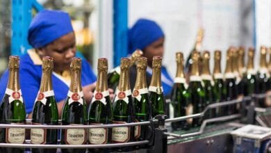 General Worker - Display Wine Stellenbosch 2025