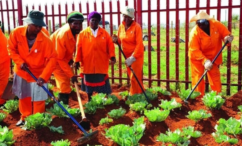 KZN Community Work Programme (CWP) Vacancies 2025