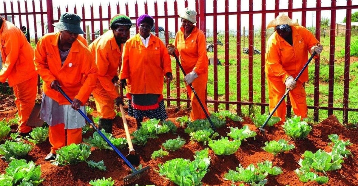 KZN Community Work Programme (CWP) Vacancies 2025 KZN Community Work Programme (CWP) Vacancies 2025