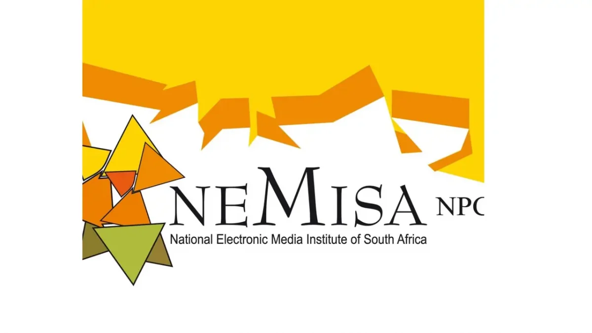 NEMISA Digital Ambassadors NEMISA Digital Ambassadors