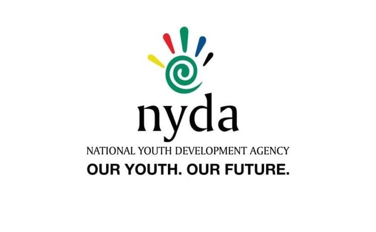 WHAT IS NATIONAL YOUTH DEVELOPMENT AGENCY visual data 3