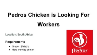 Pedros Driver Vacancies 2025 - South Africa