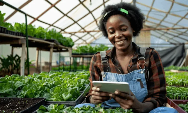 VKB Group Learner Branch Marketer Vacancy 2025