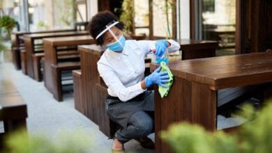 Cleaner Reddford House Blue Hills 2025