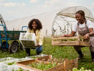 Rural Development Programme