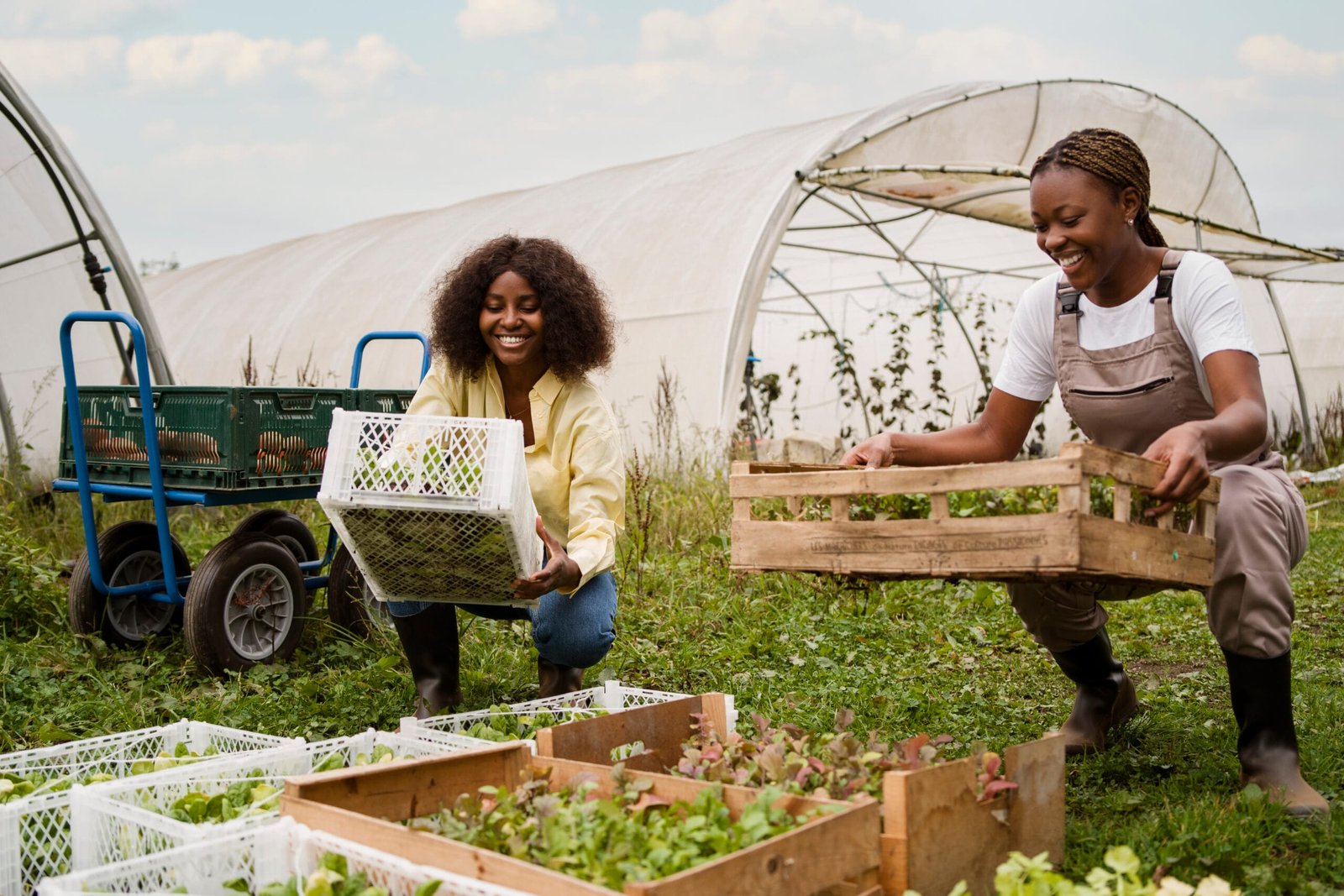 Rural Development Programme