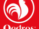 Pedros Vacancies database