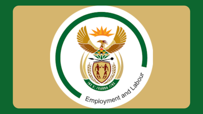 ScholarlyAfrica.com-2024-08-23T164538.061 x88 UIF Client Service Officer vacancies at the Department of Labour