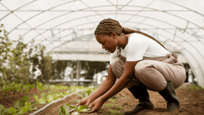 VKB-Group-Learnership-Programme-2026
