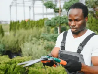 Permanent General Worker vacancy at the Department of Environment