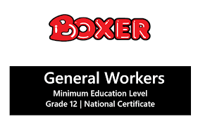 images (20) Boxer Store is Hiring General Workers