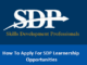 SDP Learnership Programme 2025