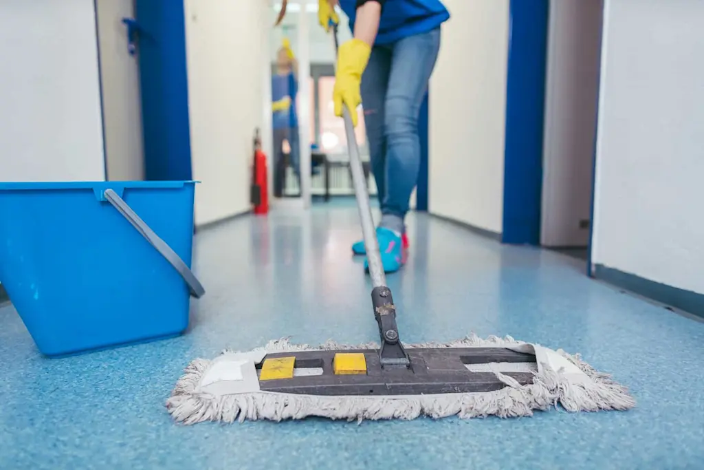 Cleaner