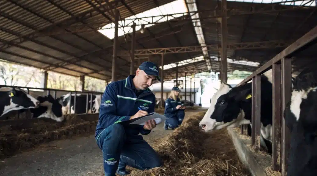 Dairy 2026 Learnership Programme